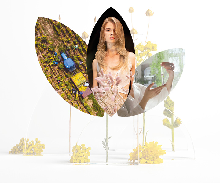 ESG Ambiente